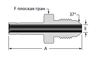 Fiting_19