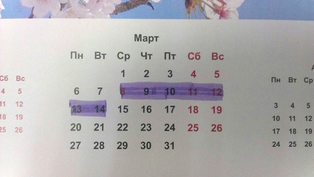 Rampa_RR-02-08-200_calendar_cryonica.jpg Rampa_RR-02-08-200_calendar_cryonica.jpg