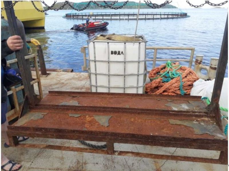 rfrozuya_dnisha_stoiki