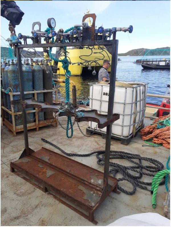 загруженное (1).jpg