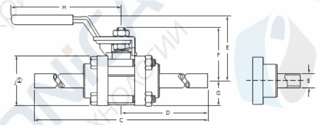 Swajelok ydlin patrubky