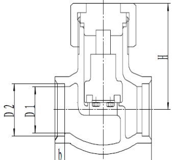 Обратный клапан CCK DH6(2)1F-40P