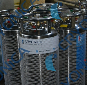 Отгрузка Криоцилиндра DPL450-195-2,3