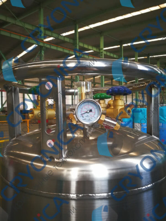 Газификатор DPL450-195-1,37 Газификатор DPL450-195-1,37