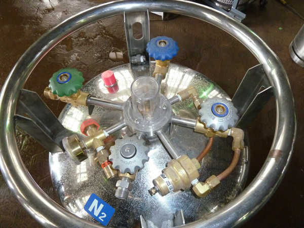 Газификатор DPL-452-195-1,38i