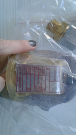 Газовый регулятор давления типа DYS-15B2 Газовый регулятор давления типа DYS-15B2