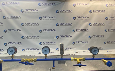 Рампа наполнительная  на 12 баллонов РНП 02/06/200 Рампа наполнительная  на 12 баллонов РНП 02/06/200