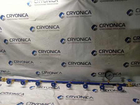 Рампа наполнительная на 20 баллонов  РН 01/20/200