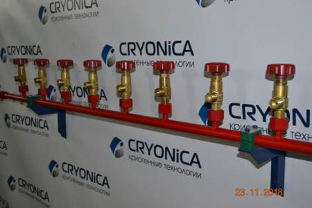 Рампа наполнительная на 20 баллонов  РН 01/20/200