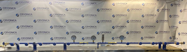 Рампа наполнительная  на 12 баллонов РНП 02/06/200 Рампа наполнительная  на 12 баллонов РНП 02/06/200